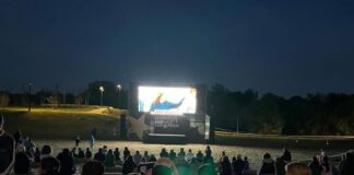 Festivalul Filmului European (FFE)