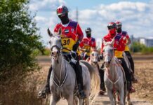 Cupa Shagya – cea mai mare competiție de anduranță ecvestră din estul Europei