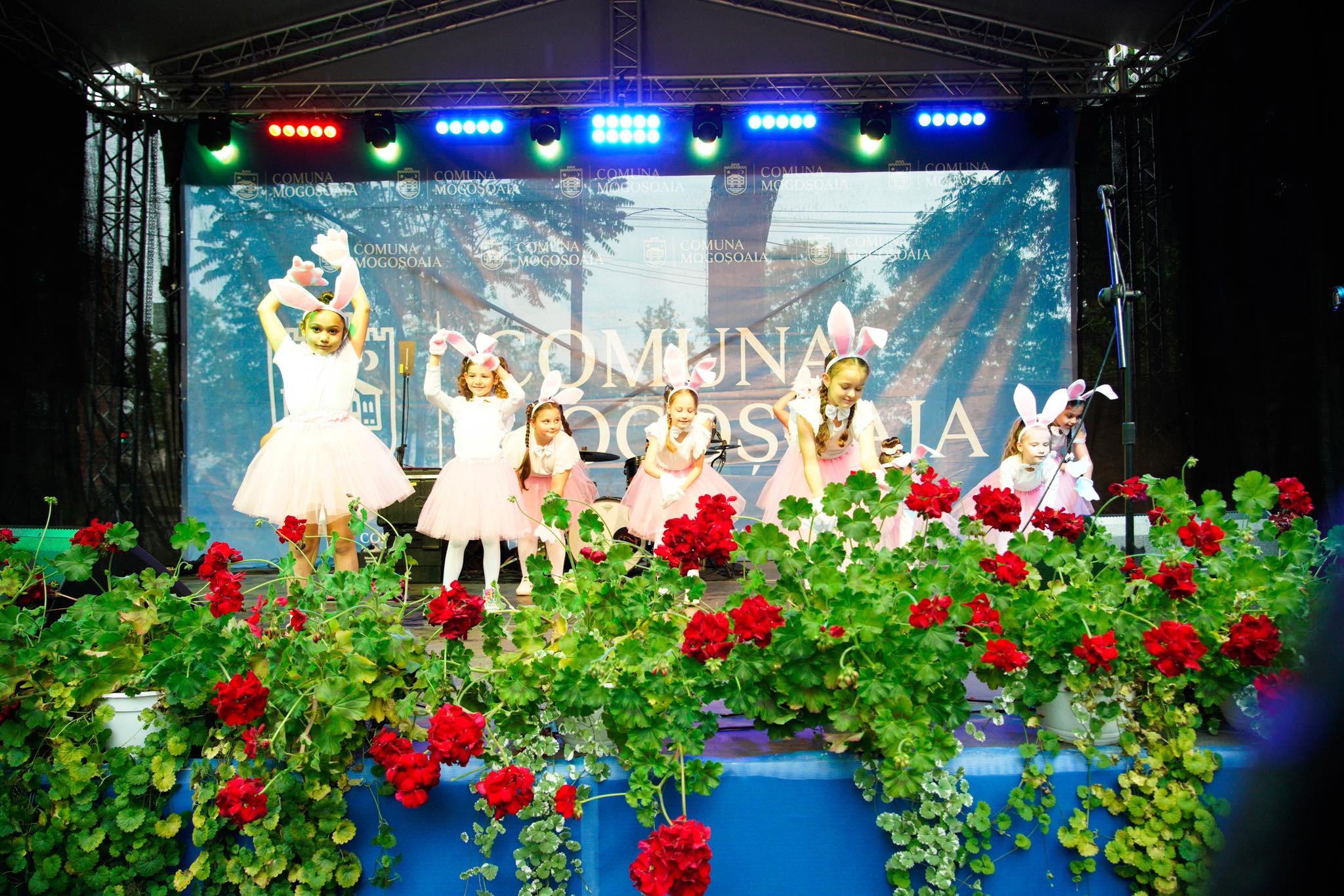 501085389_1267310432066925_5592272783008094607_n