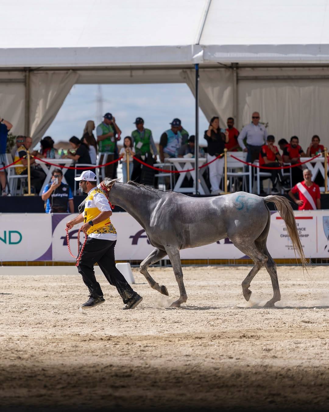 549299753_1213095414168402_6219769768841904752_n