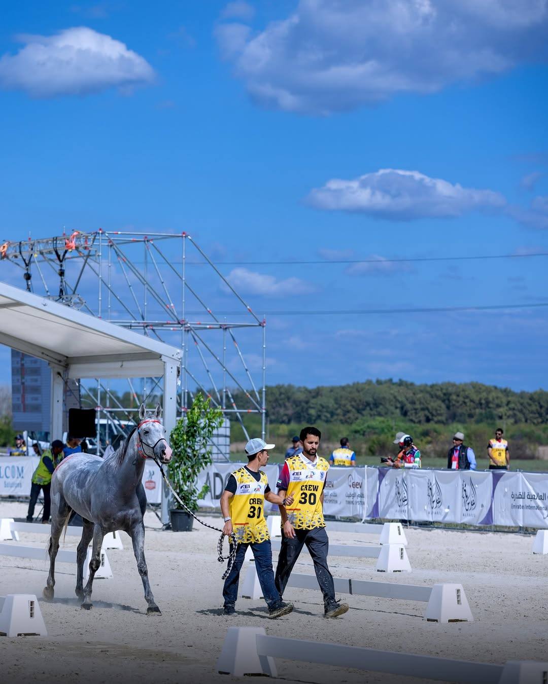 550260858_1213095224168421_7371466186143139533_n